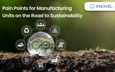 Pain Points for Manufacturing Units on the Road to Sustainability